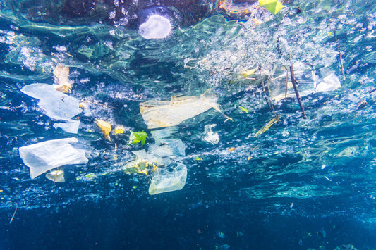 Immondizia galleggiante nelle aree protette di Gran Canaria e Tenerife