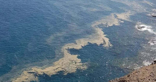 Microalghe invadono le playas de Adeje sconsigliata la balneazione
