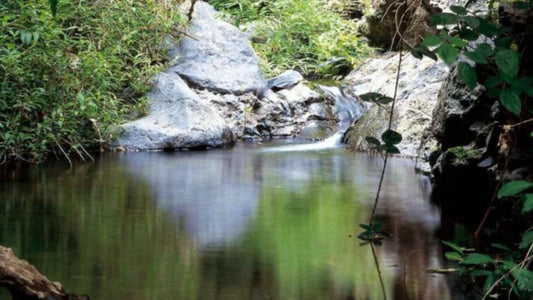 Per gli amanti del trekking tre percorsi con vista panoramica ad Adeje
