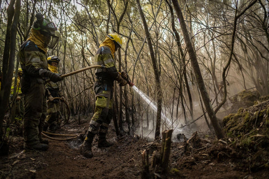 Dopo nove giorni l'incendio di Tenerife si è stabilizzato