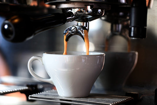 Così i canari ordinano il caffè: ecco le due versioni più popolari
