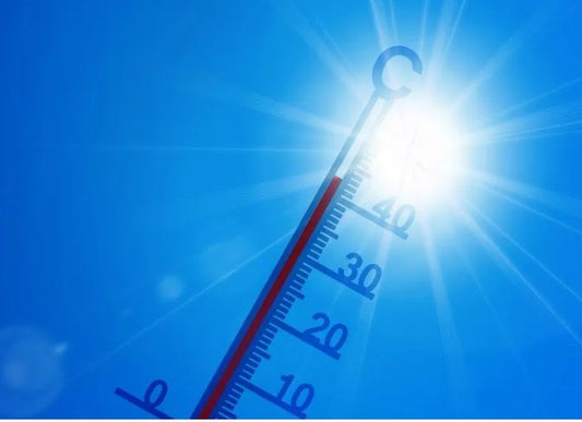 Si attiveranno 4 allerte per rischio incendi, calima, vento e caldo