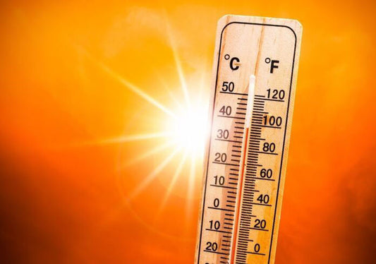 Si sono registrate temperature record a marzo alle Canarie