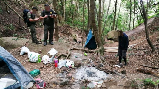 Si accampano in un'area riservata di Anaga con un falò acceso