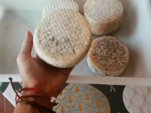 A detta degli esperti ecco i due migliori formaggi di Tenerife