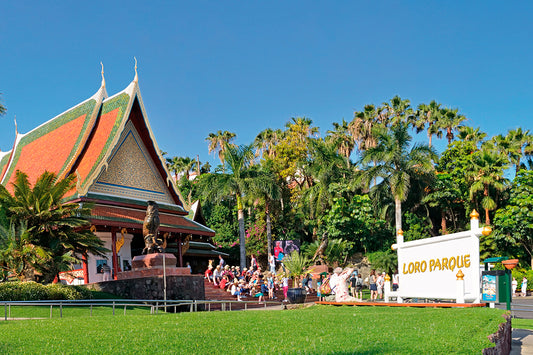 Più di tre milioni di visitatori hanno visitato Loro Parque nel 2022