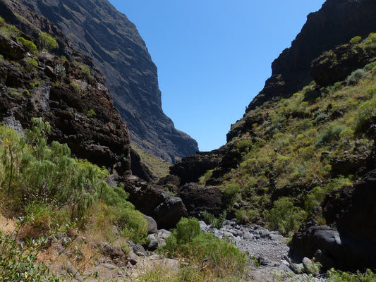 I dieci migliori sentieri di Tenerife