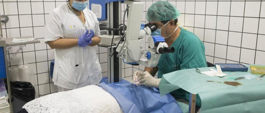 La tempistica sanitaria canaria non brilla certamente