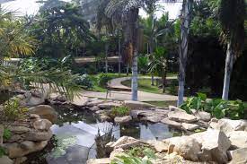 Al Palmetum di Santa Cruz, per l'8° volta, il premio Travellers' Choice