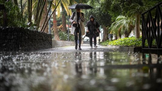 Oggi saranno protagonisti il freddo, il vento e la pioggia