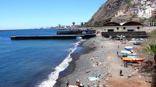 Consentito l'accesso con i cani sulla spiaggia di Acapulco