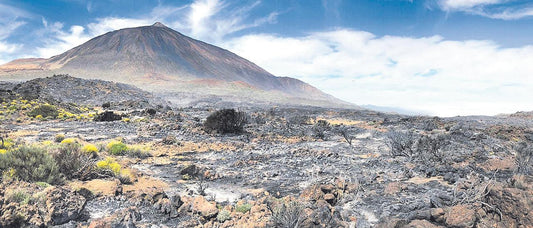 La tropicalizzazione mette a rischio la tipica biodiversità del Teide