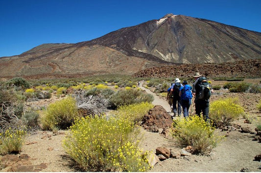Il controverso piano per visitare il Parco Nazionale del Teide