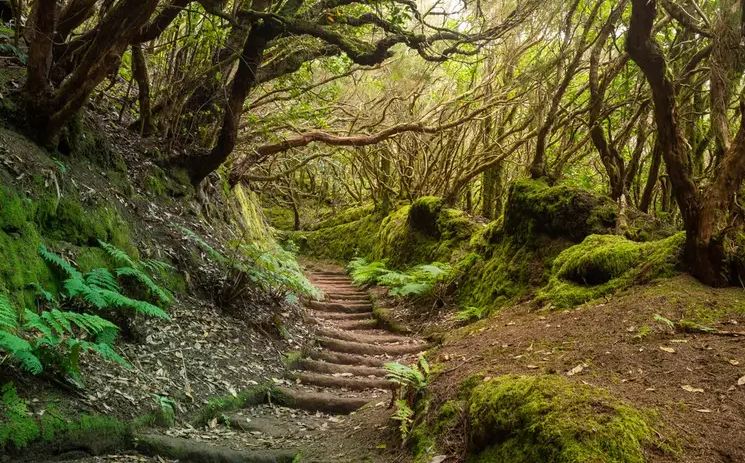 Proposta anche tassa ai visitatori che accedono agli spazi naturali