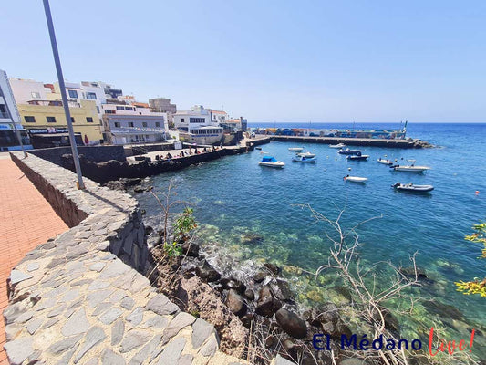 La vieja (pesce pappagallo ),sarà la protagonista a Los Abrigos