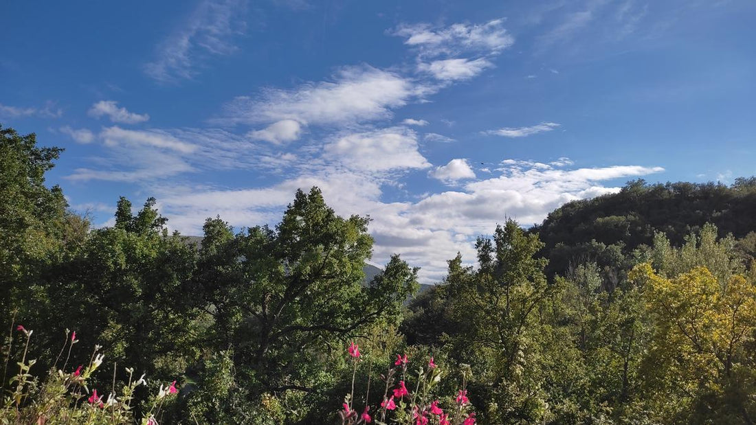 Il fine settimana inizia con cielo sereno sulle Isole Canarie