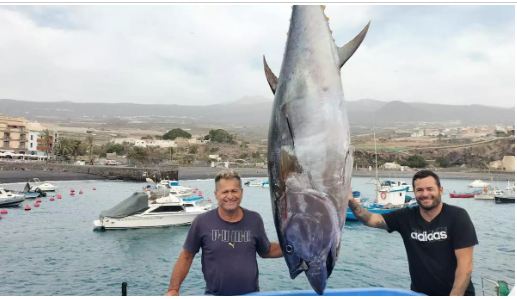 E iniziata a Tenerife la stagione di pesca del tonno rosso