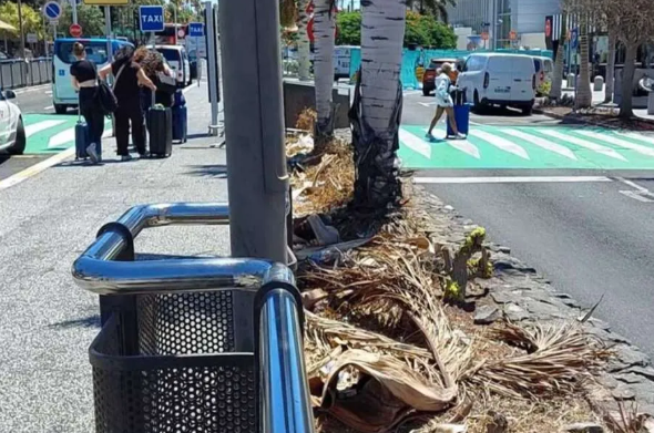 Aeroporto Tenerife Sud, degrado e rifiuti accolgono i turisti