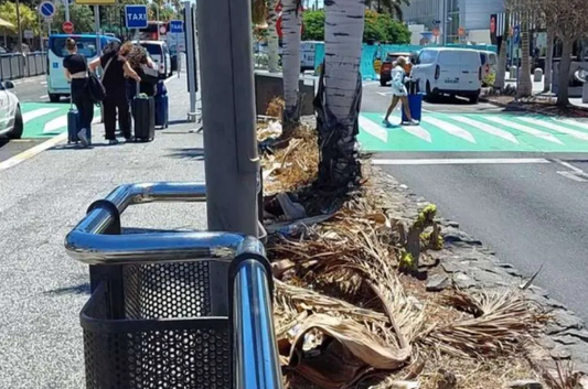 Aeroporto Tenerife Sud, degrado e rifiuti accolgono i turisti