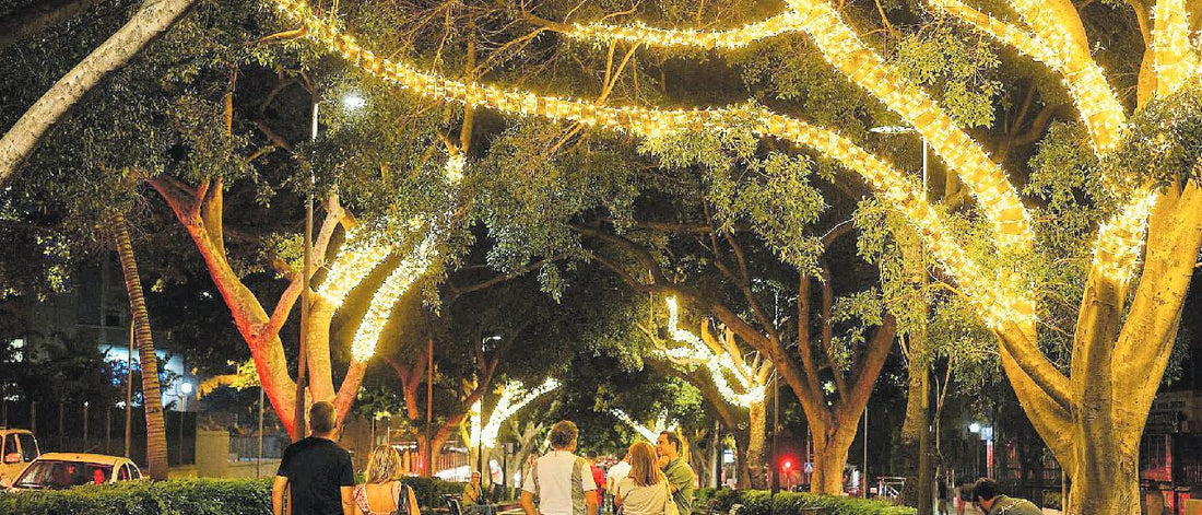 A Natale, Santa Cruz illuminerà per la prima volta 200 alberi sulla Rambla