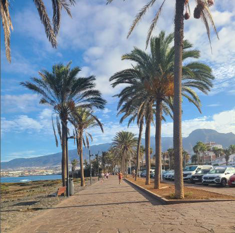 Nuvole al nord, foschia in quota e alisei moderati oggi a Tenerife