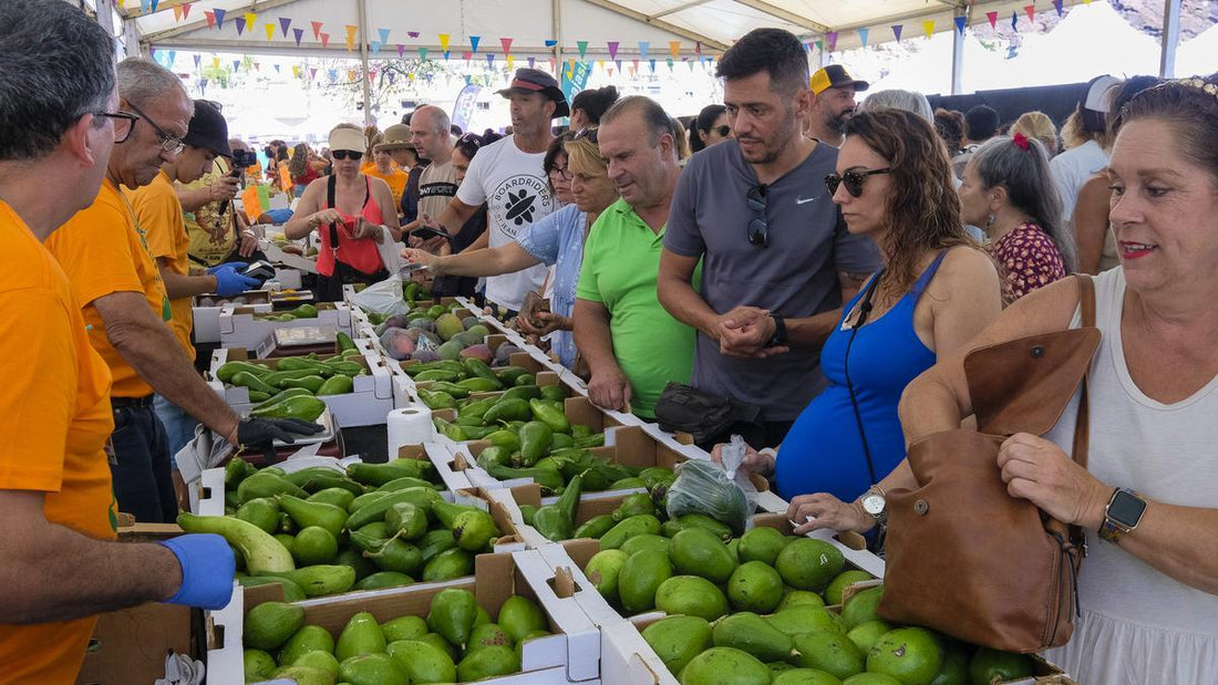 L'avocado delle Isole Canarie "combatte" a Bruxelles per il suo IGP