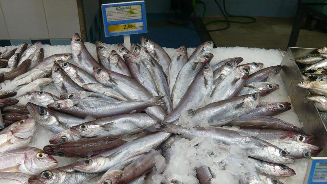 Ormai non tutto il pesce può essere consumato tranquillamente