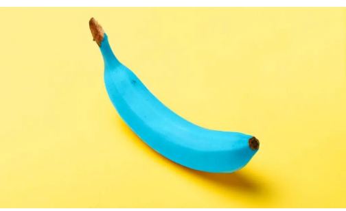 La banana delle Canarie c'è anche blu e ha un sapore particolare