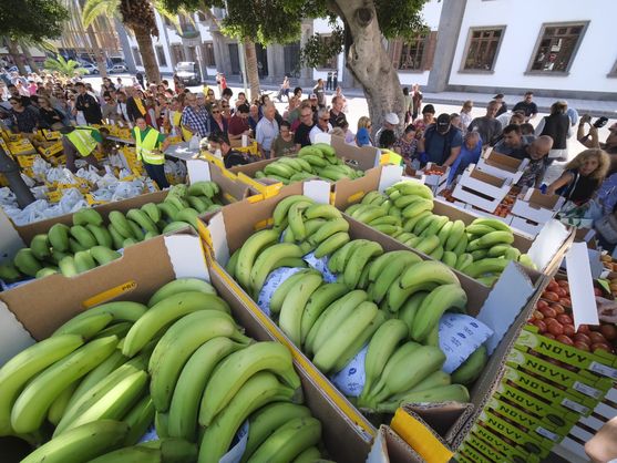 Milioni di chili di banane delle Canarie invendute buttate via