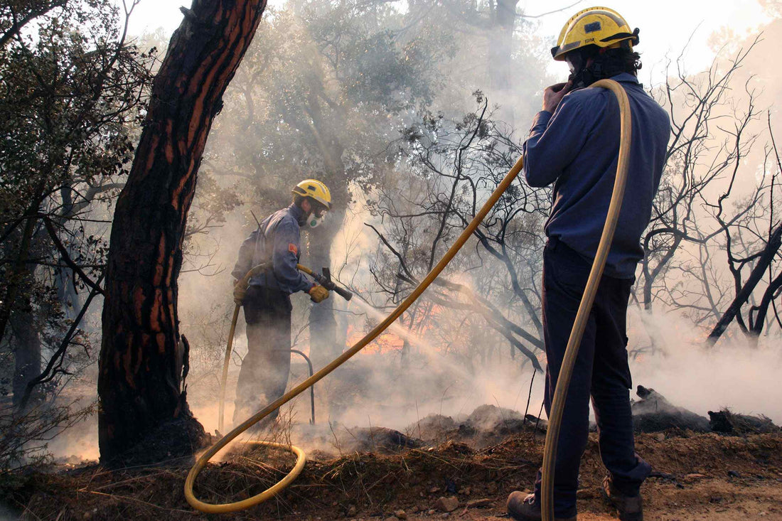 Cabildo de Tenerife attiva misure livello 2 per prevenire gli incendi