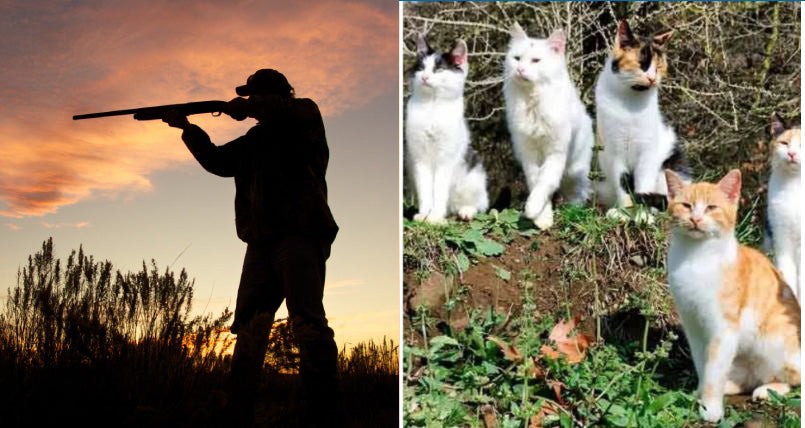 In  Canaria è finalmente vietata per legge la caccia a cani e gatti