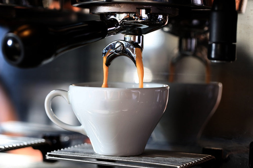Così i canari ordinano il caffè: ecco le due versioni più popolari