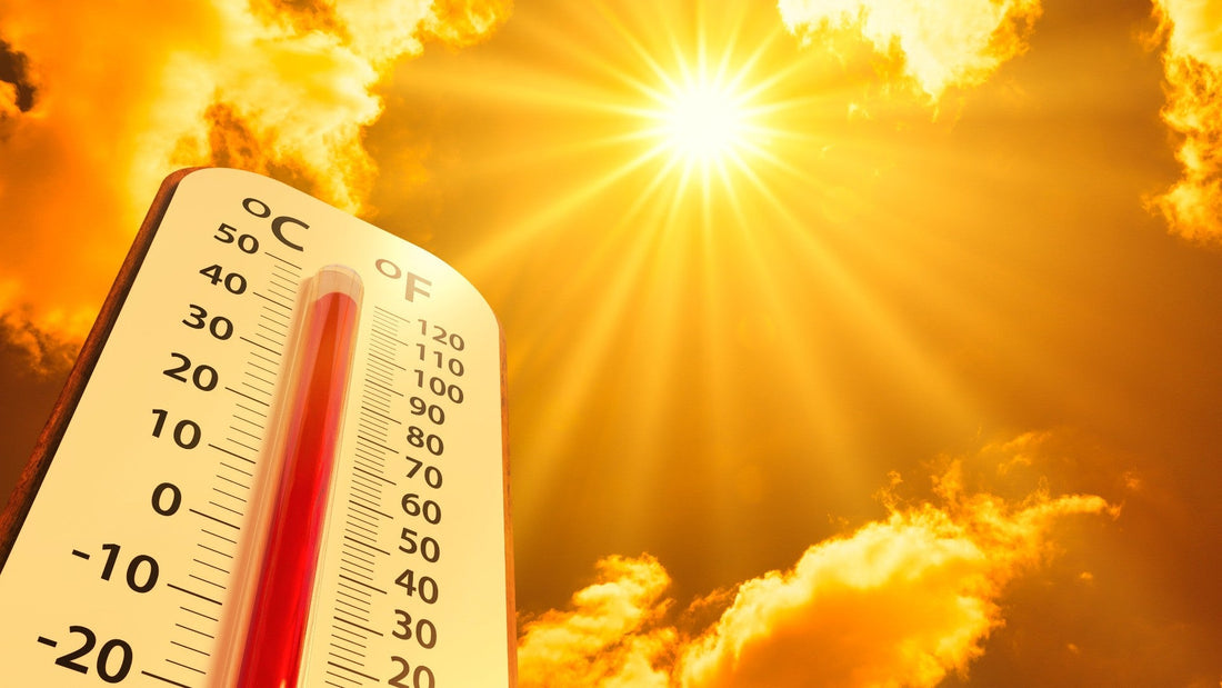Canarie roventi: studio prevede un’impennata drastica del caldo