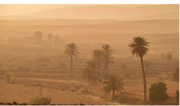 A Tenerife con la calima ecco cosa si respira davvero