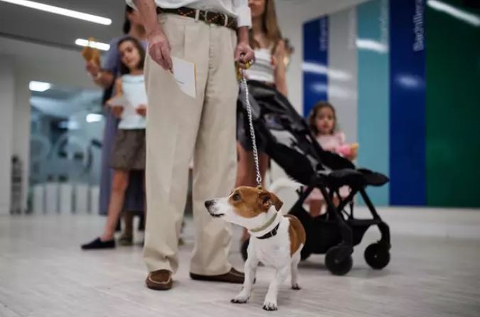 Oggi entra in vigore la legge sul benessere degli animali