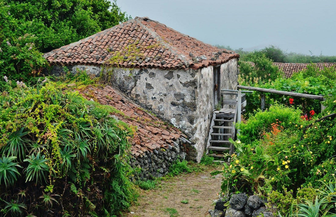 Nuovi sussidi per il restauro dI case nei comuni rurali delle Canarie