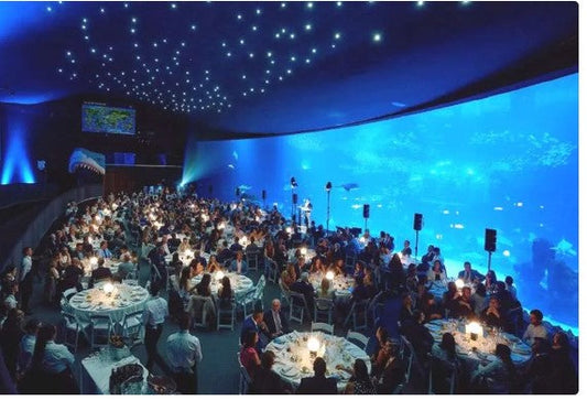 Loro Parque Fundación: Raccolti fondi per balene e delfini