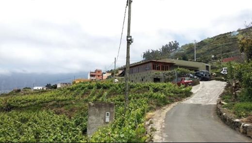 Ecco un altro autentico "Guachinche"che chiuderà il 4 agosto