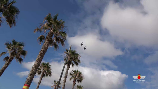 Gli F-18 voleranno sulle Canarie nella Giornata delle Forze Armate