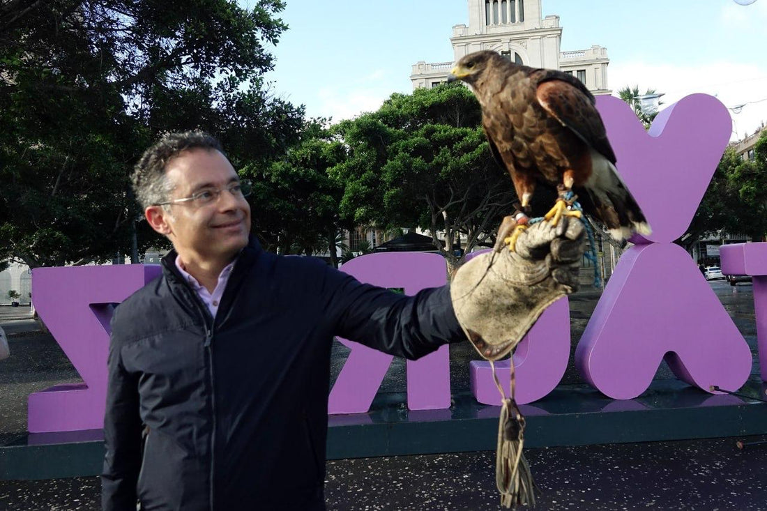 La falconeria, l'arte della caccia, messa in campo a Santa Cruz