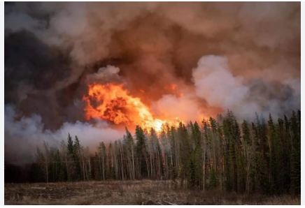 Il fumo degli incendi canadesi raggiungerà tra poche ore le Canarie