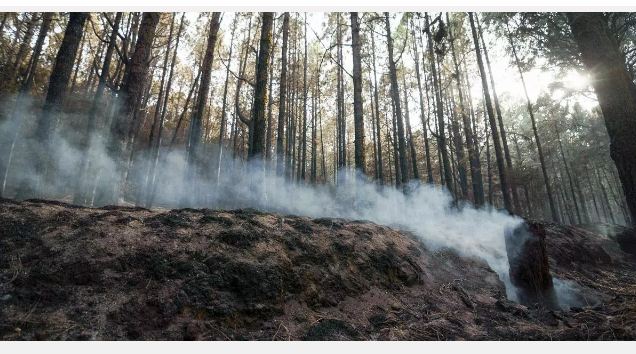 Si spera di stabilizzare oggi l'incendio che ha colpito Tenerife