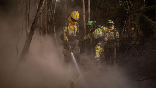 Si lavora per consolidare il perimetro e reprimere ogni riattivazione.