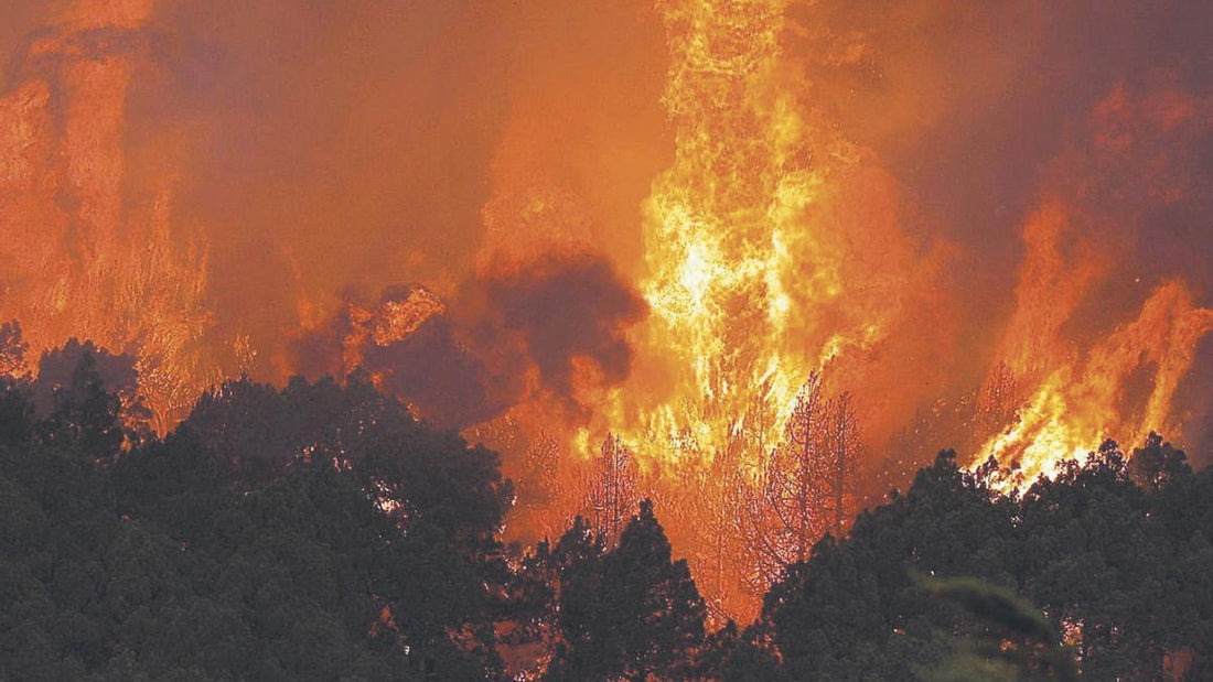 Il più grande parco naturale delle Canarie sta bruciando