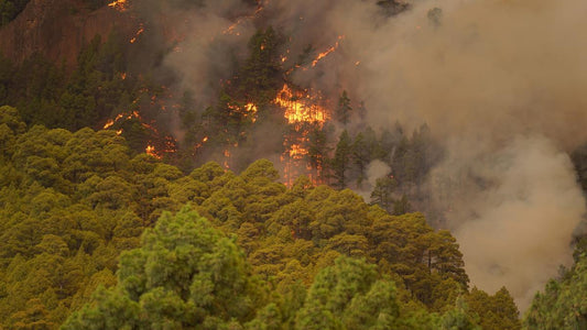 Un incendio mai visto alle Canarie