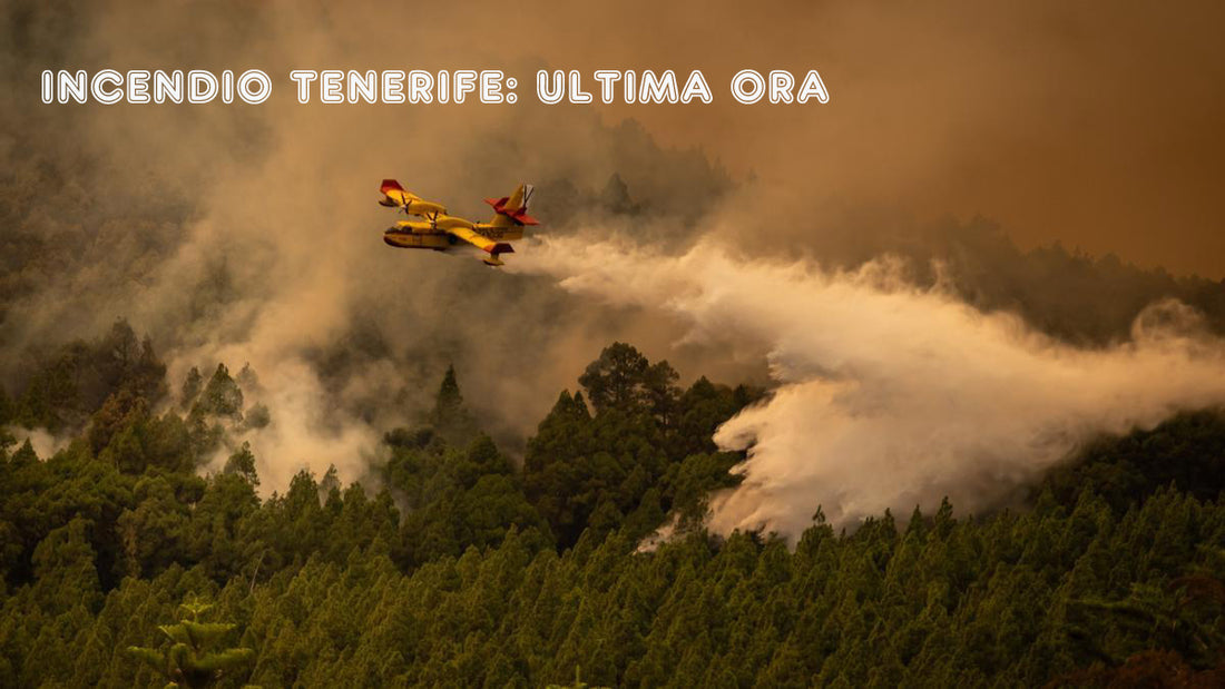 L'incendio devasta 3.200 ettari e colpisce 6.800 persone