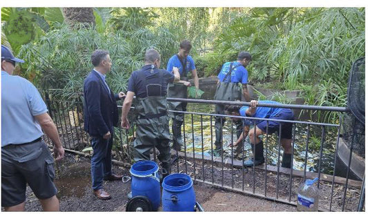 La peste dei gamberi nel parco García Sanabria