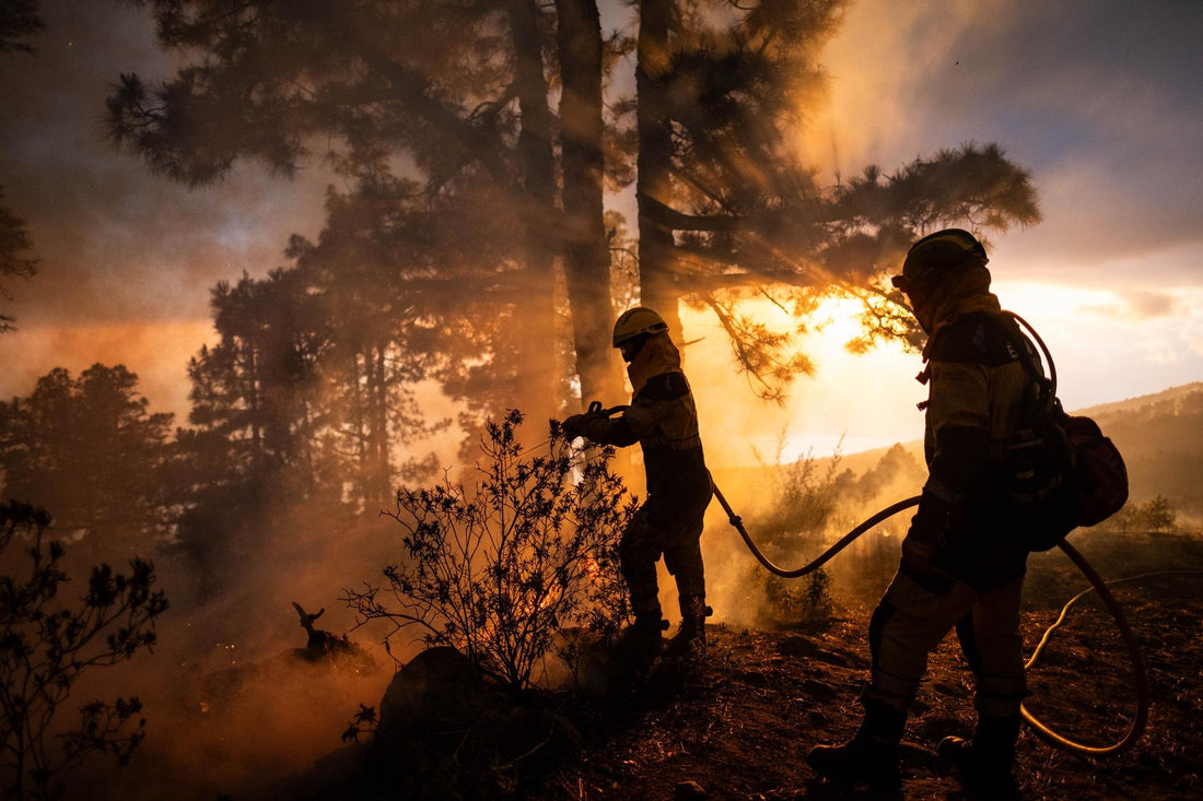 Tre fronti continuano ad essere attivi nell'incendio a La Palma