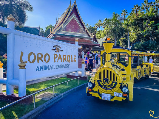 Al Loro Parque e Poema del Mar record di visitatori nel 2025