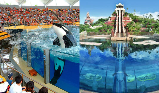 Loro Parque e Siam Park hanno accolto 3 milioni di visitatori nel 2024